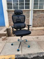 ErgoMesh Office Chairs